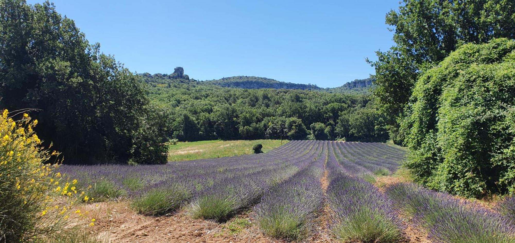 Chris Le Verger Hébergement de vacances Saignon